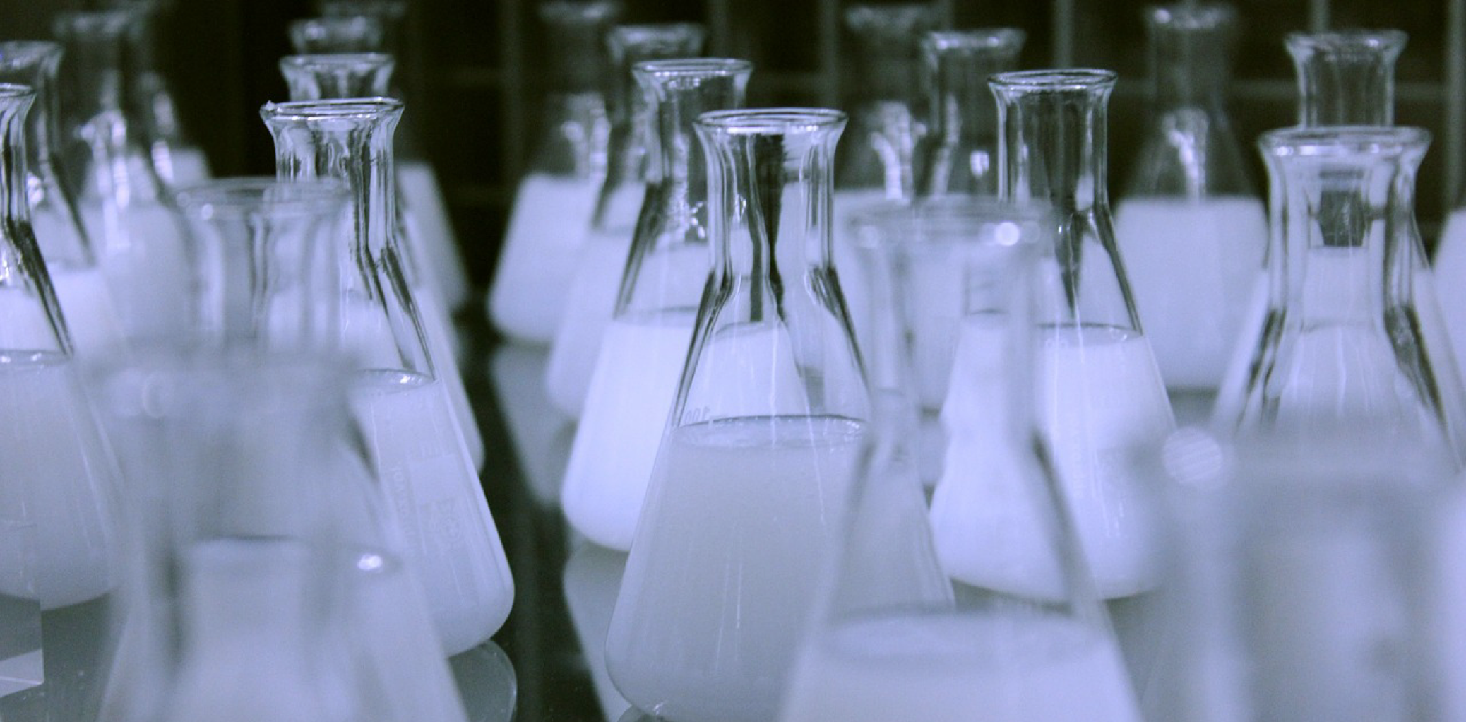 Blog: Produkte gegen unreine Haut - Bild2